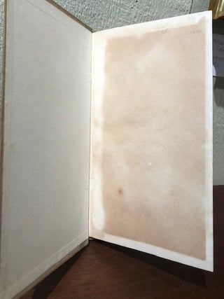 THE GREAT AMERICAN NOVEL