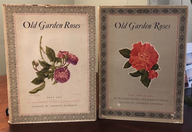 Item #12710 OLD GARDEN ROSES. (Two Voumes). Sacheverell Sitwell, James Russel.