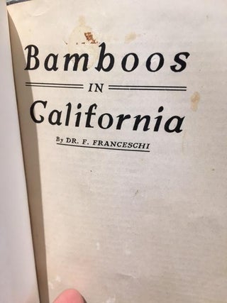 BAMBOOS IN CALIFORNIA