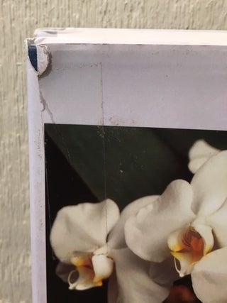 PHALAENOPSIS. A MONOGRAPH.
