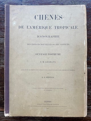 Item #54779 CHENES DE L'AMERIQUE TROPICALE. (OAKS OF TROPICAL AMERICA.). F. M. Liebmann, A S. Orsted