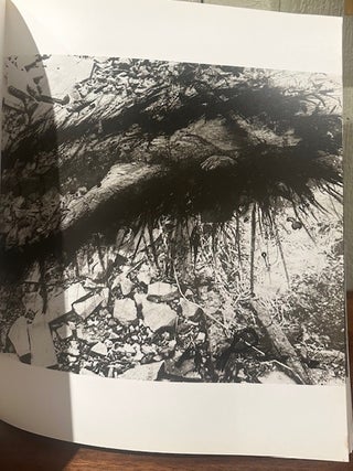 HIROSHIMA: Werkgruppe aus 57 Bildern/ Group of 57 Works.
