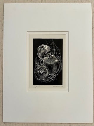 POMEGRANATES. (Original Wood Engraving)
