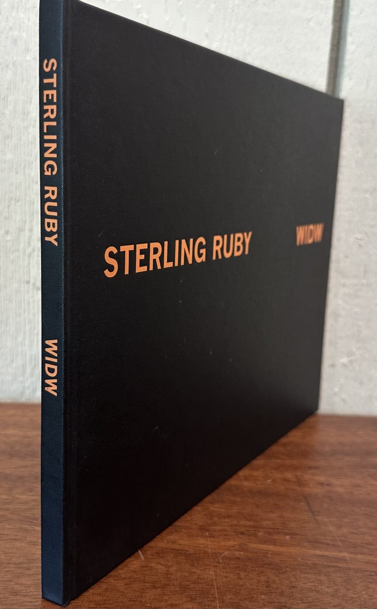 STERLING RUBY: WIDW