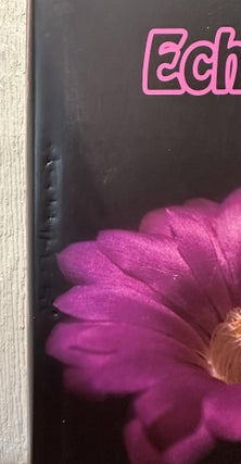 ECHINOCEREUS